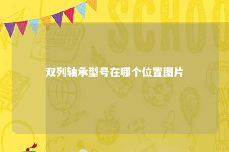 双列轴承型号在哪个位置图片 